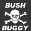 BushBuggy